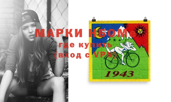 соль ск Новозыбков