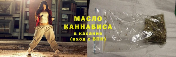 соль ск Новозыбков