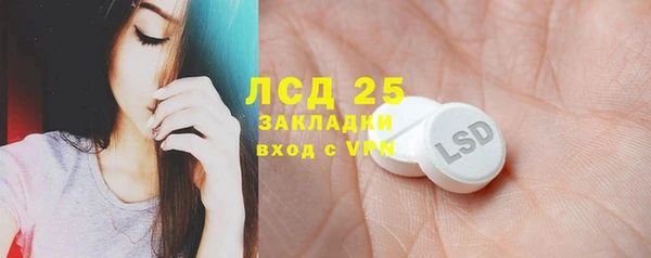 соль ск Новозыбков