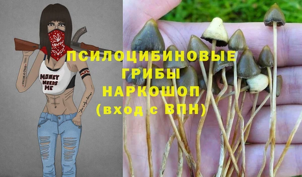меф Нефтегорск