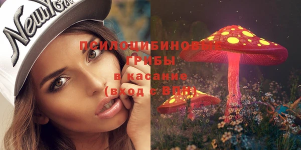меф Нефтегорск