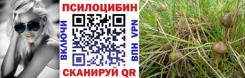 Псилоцибиновые грибы Cubensis  Липецк 